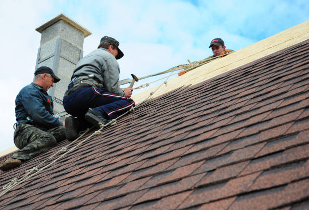 Best Flat Roof Repair Services  in Dallesport, WA