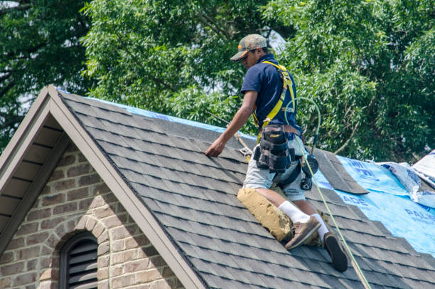 Best Roof Gutter Cleaning  in Dallesport, WA